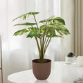 Realistic Looking Artificial Variegated Monstera Plant