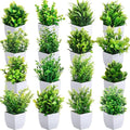 Artificial Potted Plants, 16 Pack (Set 0F 16)